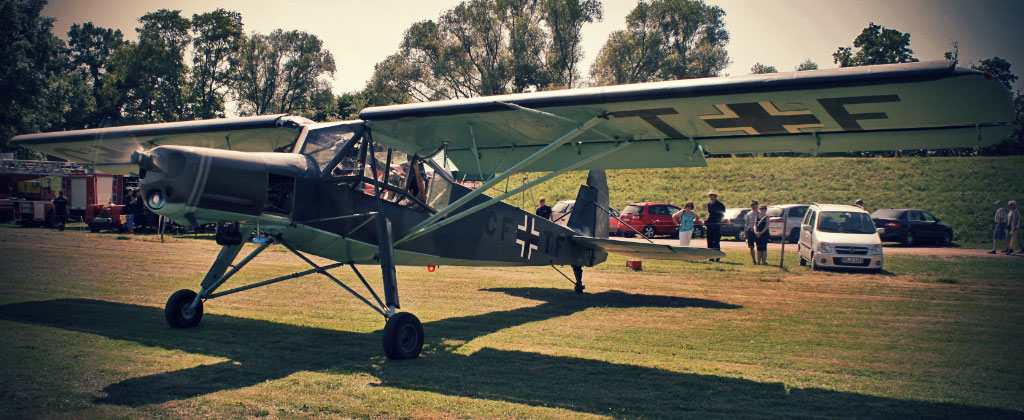 Storch2